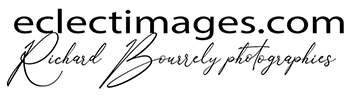 Eclectimages Logo